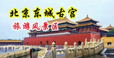 美女不听话被插两根大黑吊中国北京-东城古宫旅游风景区